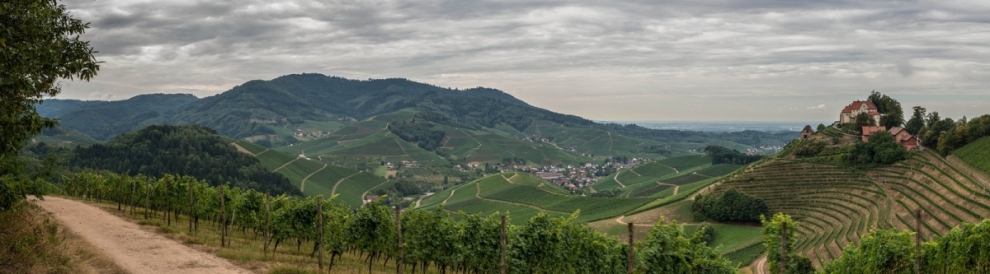 Blick übers Durbachtal (Schwarzwert Naturfotografie)  [flickr.com]  CC BY 
Infos zur Lizenz unter 'Bildquellennachweis'