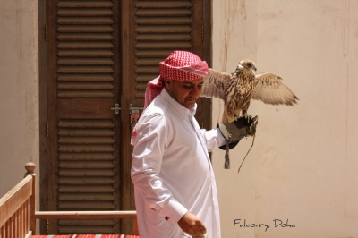 Falconry, Doha, Qatar. (Jan Smith)  [flickr.com]  CC BY 
Infos zur Lizenz unter 'Bildquellennachweis'