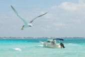 Vorschau: Beste Reisezeit Cayman Islands