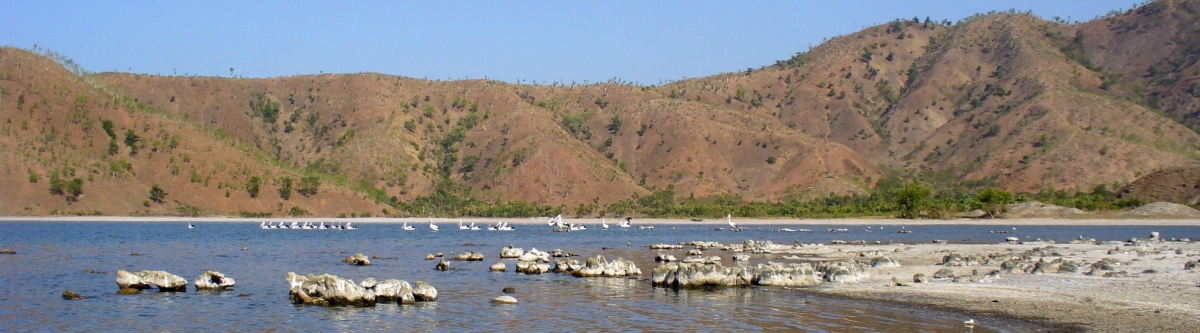 Tasitolu, Dili, East Timor (yeowatzup) CC BY Tasitolu, Dili, East Timor (yeowatzup) CC BY