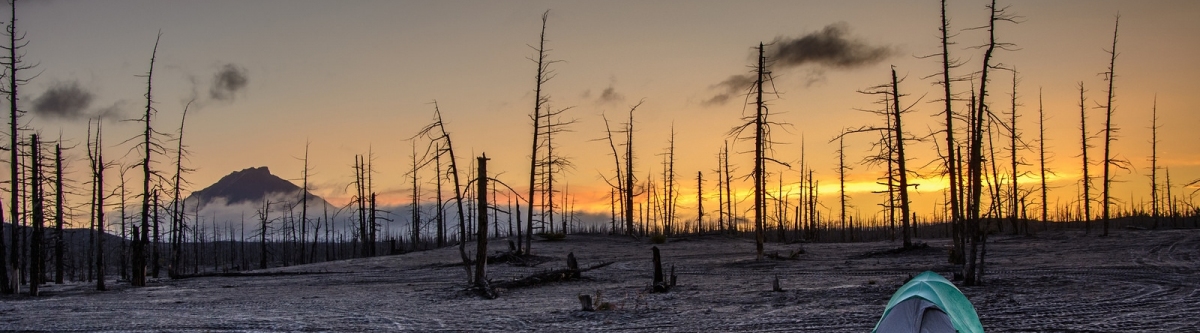 Tent in the Dead Forest (kuhnmi) CC BY Tent in the Dead Forest (kuhnmi) CC BY