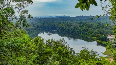 View of the Suriname river from the Blauwe Berg, or Blue Mountain, on the former Berg en Dal plantation (-JvL-)  [flickr.com]  CC BY 
Infos zur Lizenz unter 'Bildquellennachweis'