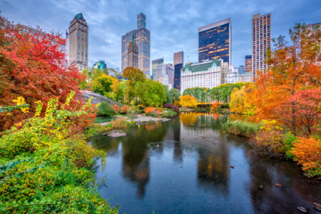 SeanPavonePhoto, stock.adobe.com