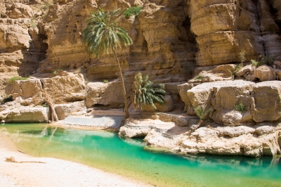 080316-29 Oman - Wadi Shab (Andries3)  [flickr.com]  CC BY-SA 
Infos zur Lizenz unter 'Bildquellennachweis'