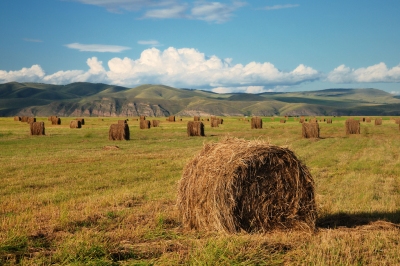 15/365 - Haystacks (Olga Filonenko)  [flickr.com]  CC BY-SA 
Infos zur Lizenz unter 'Bildquellennachweis'