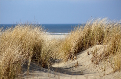 2016-03-24 04-03 Nordsee 206 Juist, Strand (Allie_Caulfield)  [flickr.com]  CC BY 
Infos zur Lizenz unter 'Bildquellennachweis'