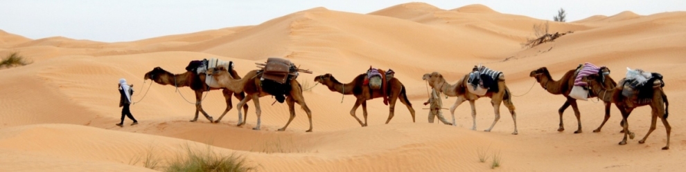 Kamel Karawane in Tunesien (Public Domain / Pixabay)  Public Domain 
Infos zur Lizenz unter 'Bildquellennachweis'