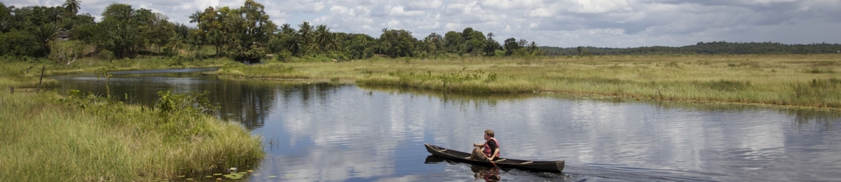 Guyana Panorama (Public Domain / Pixabay) Public Domain
Infos zur Lizenz unter 'Bildquellennachweis' Guyana Panorama (Public Domain / Pixabay) Public Domain
Infos zur Lizenz unter 'Bildquellennachweis'