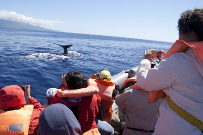 Azores_7255 (Luca Nebuloni)  [flickr.com]  CC BY 
Infos zur Lizenz unter 'Bildquellennachweis'