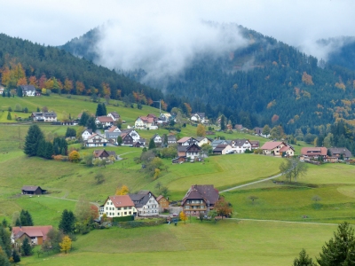 Baiersbronn (Roman Boed)  [flickr.com]  CC BY 
Infos zur Lizenz unter 'Bildquellennachweis'