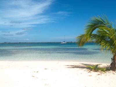 Bando's Beach -  Utila (René Mayorga)  [flickr.com]  CC BY-SA 
Infos zur Lizenz unter 'Bildquellennachweis'