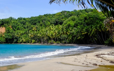 Batibou Beach, Dominica (Matthias Ripp)  [flickr.com]  CC BY 
Infos zur Lizenz unter 'Bildquellennachweis'