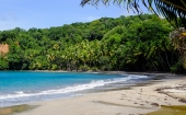 Vorschau: Beste Reisezeit Dominica