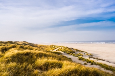 Beach View (x1klima)  [flickr.com]  CC BY-ND 
Infos zur Lizenz unter 'Bildquellennachweis'