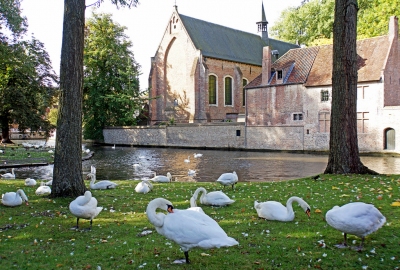 Belgium-6112 - Minnewater (Dennis Jarvis)  [flickr.com]  CC BY-SA 
Infos zur Lizenz unter 'Bildquellennachweis'