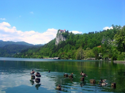Bled in Slowenien (Wolfgang)  [flickr.com]  CC BY-ND 
Infos zur Lizenz unter 'Bildquellennachweis'