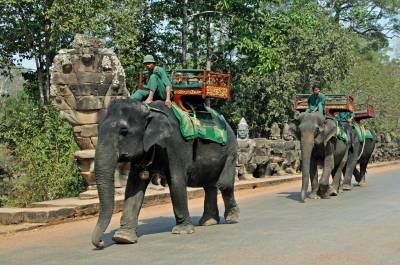 Cambodia-2410 - Angkor Thom's Taxi !! (Dennis Jarvis)  [flickr.com]  CC BY-SA 
Infos zur Lizenz unter 'Bildquellennachweis'