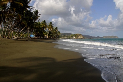 Carapuse Bay, Tobago (neiljs)  [flickr.com]  CC BY 
Infos zur Lizenz unter 'Bildquellennachweis'