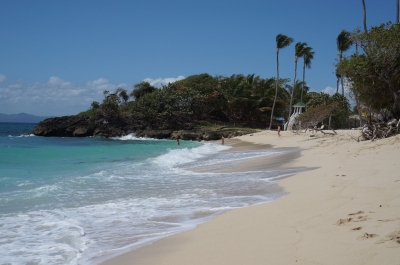 Cayo Levantado (Rachel Docherty)  [flickr.com]  CC BY 
Infos zur Lizenz unter 'Bildquellennachweis'