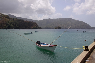 Charlotteville, Tobago (neiljs)  [flickr.com]  CC BY 
Infos zur Lizenz unter 'Bildquellennachweis'