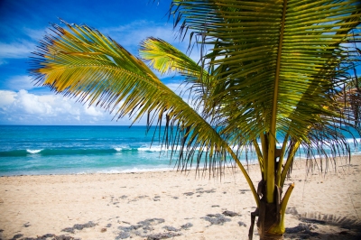 Condado Beach, San Juan, Puerto Rico (Breezy Baldwin)  [flickr.com]  CC BY 
Infos zur Lizenz unter 'Bildquellennachweis'