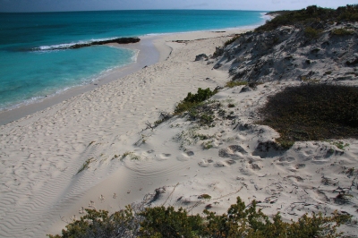 Cuba - Cayo Santa Maria (Michele Testini)  [flickr.com]  CC BY-ND 
Infos zur Lizenz unter 'Bildquellennachweis'