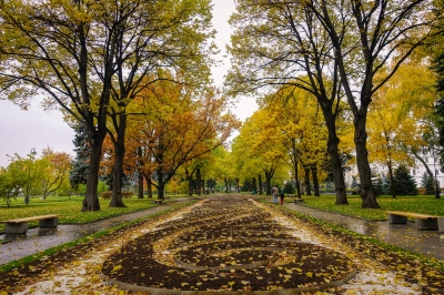 fall foliage in Moscow (Brandon)  [flickr.com]  CC BY 
Infos zur Lizenz unter 'Bildquellennachweis'