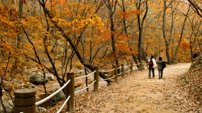 Fall, Korea (PlaneMad)  [flickr.com]  CC BY-SA 
Infos zur Lizenz unter 'Bildquellennachweis'