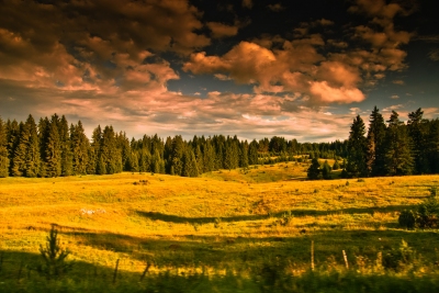 fields - 002 scenery (Rudolf Getel)  [flickr.com]  CC BY 
Infos zur Lizenz unter 'Bildquellennachweis'
