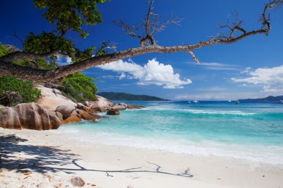 Grande Soeur, a small island  near La Digue, Seychelles (Jean-Marie Hullot)  [flickr.com]  CC BY 
Infos zur Lizenz unter 'Bildquellennachweis'
