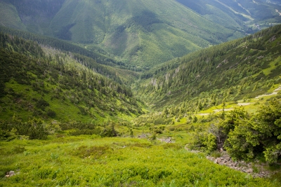 Green valley in Krkonose (Roman Boed)  [flickr.com]  CC BY 
Infos zur Lizenz unter 'Bildquellennachweis'