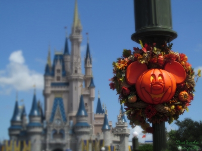 Halloween Decoration (Chad Sparkes)  [flickr.com]  CC BY 
Infos zur Lizenz unter 'Bildquellennachweis'