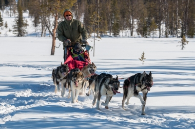 Husky Express (Markus Trienke)  [flickr.com]  CC BY-SA 
Infos zur Lizenz unter 'Bildquellennachweis'