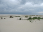 Vorschau: Beste Reisezeit Borkum