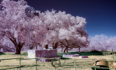 infrared windmill (greg westfall)  [flickr.com]  CC BY 
Infos zur Lizenz unter 'Bildquellennachweis'