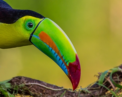 Klimainformationen Costa Rica