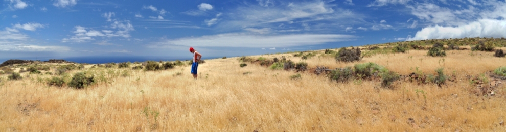 La Gomera (Lydia Steinmassl)  [flickr.com]  CC BY 
Infos zur Lizenz unter 'Bildquellennachweis'