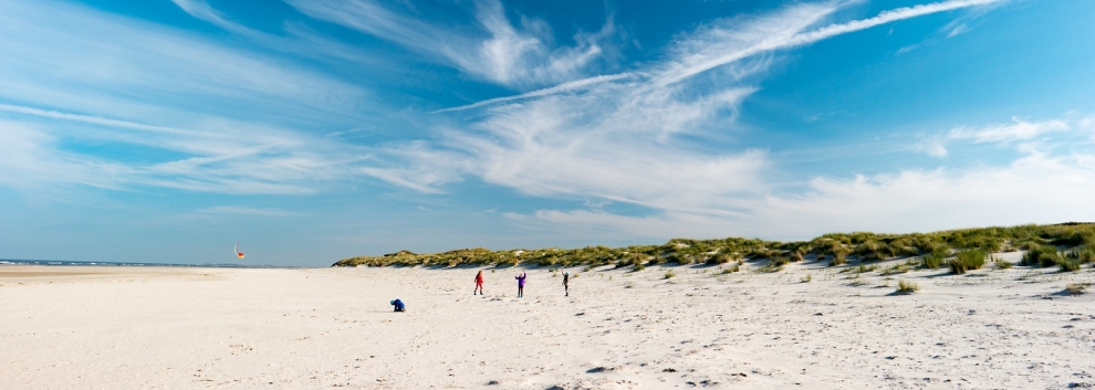 Langeoog Herbst 2015 (Sören)  [flickr.com]  CC BY-SA 
Infos zur Lizenz unter 'Bildquellennachweis'