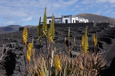 Sehenswürdigkeiten auf Lanzarote