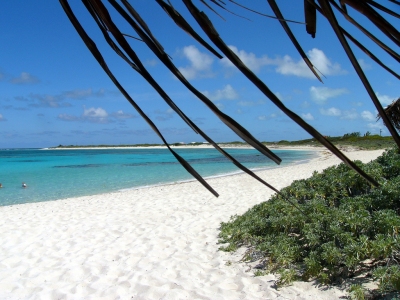 Loblolly Beach, Anegada, BVI (Kathleen Tyler Conklin)  [flickr.com]  CC BY 
Infos zur Lizenz unter 'Bildquellennachweis'