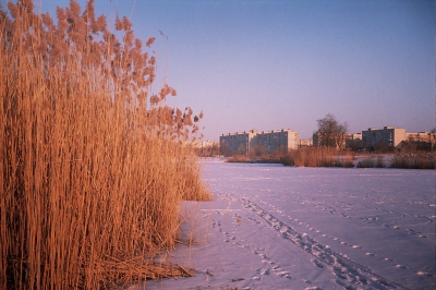 Lomo Landscape (Ilya)  [flickr.com]  CC BY-SA 
Infos zur Lizenz unter 'Bildquellennachweis'