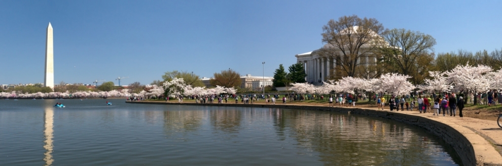 Monuments and Blossoms (Karen Blaha)  [flickr.com]  CC BY-SA 
Infos zur Lizenz unter 'Bildquellennachweis'