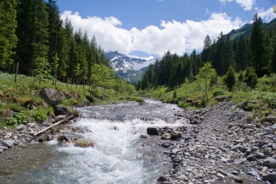 Mountain stream (Clemens v. Vogelsang)  [flickr.com]  CC BY 
Infos zur Lizenz unter 'Bildquellennachweis'