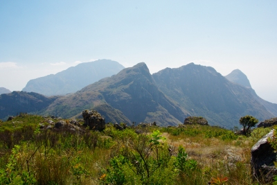Mulanje 4 (Martin Lopatka)  [flickr.com]  CC BY-SA 
Infos zur Lizenz unter 'Bildquellennachweis'