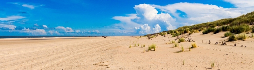 Norderney 2014 (Volt2011)  [flickr.com]  CC BY-SA 
Infos zur Lizenz unter 'Bildquellennachweis'