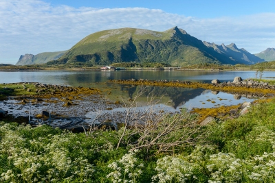 Norway - Lofoten (Stefan Wagener)  [flickr.com]  CC BY 
Infos zur Lizenz unter 'Bildquellennachweis'