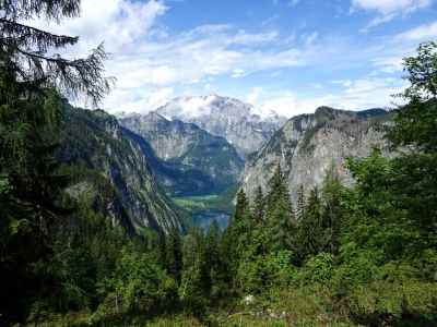 Obersee & Königsee, National Park Berchtesgaden (Hauke Musicaloris)  [flickr.com]  CC BY 
Infos zur Lizenz unter 'Bildquellennachweis'