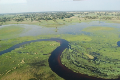 Okavango Delta, Botswana (Joachim Huber)  [flickr.com]  CC BY-SA 
Infos zur Lizenz unter 'Bildquellennachweis'