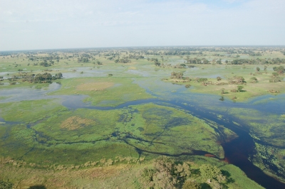 Okavango Delta, Botswana (Joachim Huber)  [flickr.com]  CC BY-SA 
Infos zur Lizenz unter 'Bildquellennachweis'