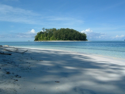 On the way to Bougainville (Luigi Guarino)  [flickr.com]  CC BY 
Infos zur Lizenz unter 'Bildquellennachweis'